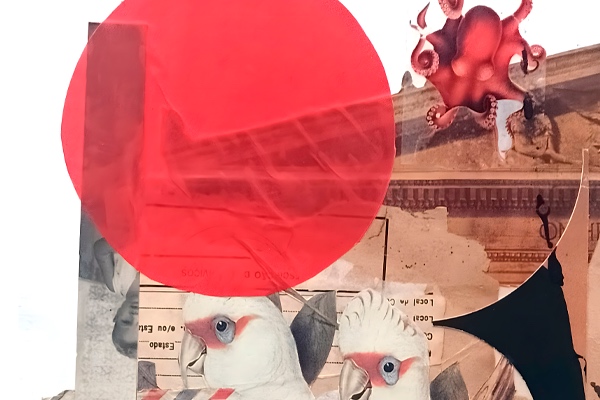 Exposição Corpo/Palavra