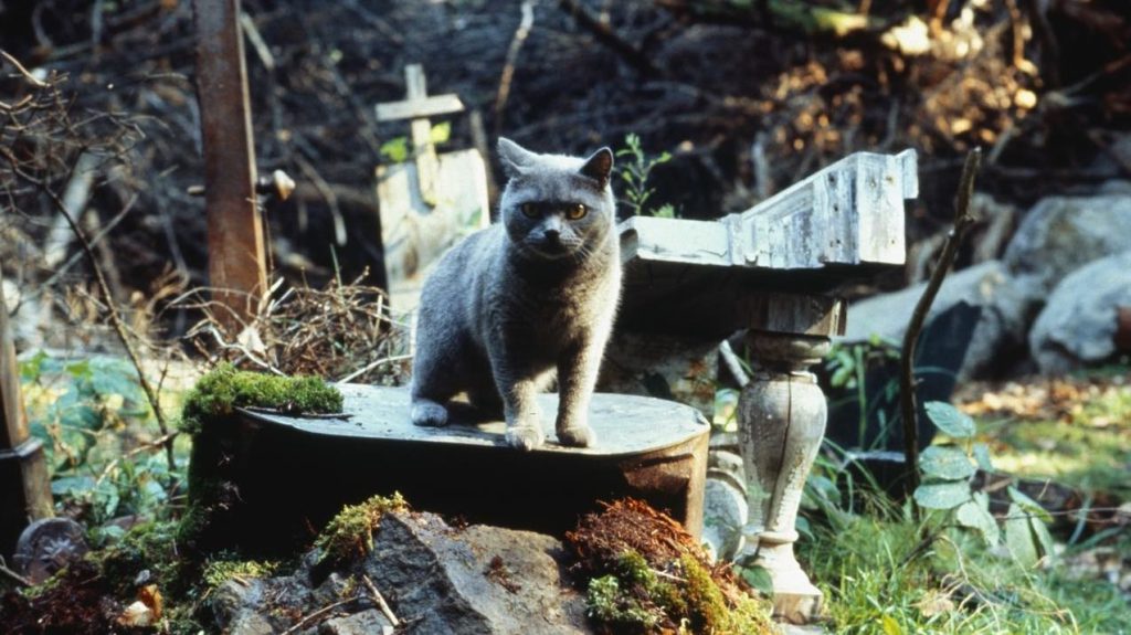 Mostra Mestras do Macabro apresenta sessão comentada do filme Cemitério Maldito