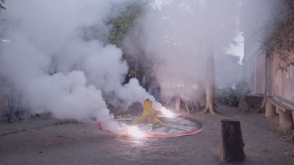Exposição Crua acontece na Abapirá