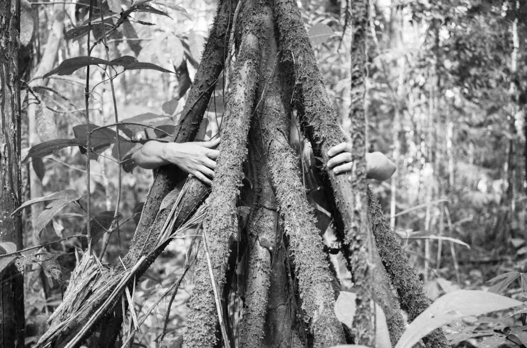 Futuros - Arte e Tecnologia recebe Primavera do Musehum