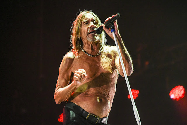 Iggy Pop continua furioso