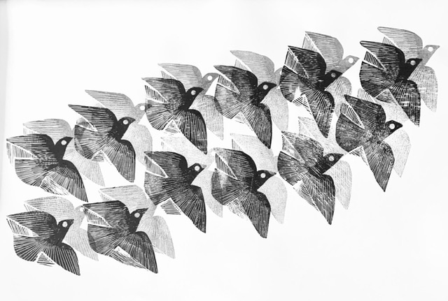 Xilogravuras de Ciro Fernandes no Museu Chácara do Céu