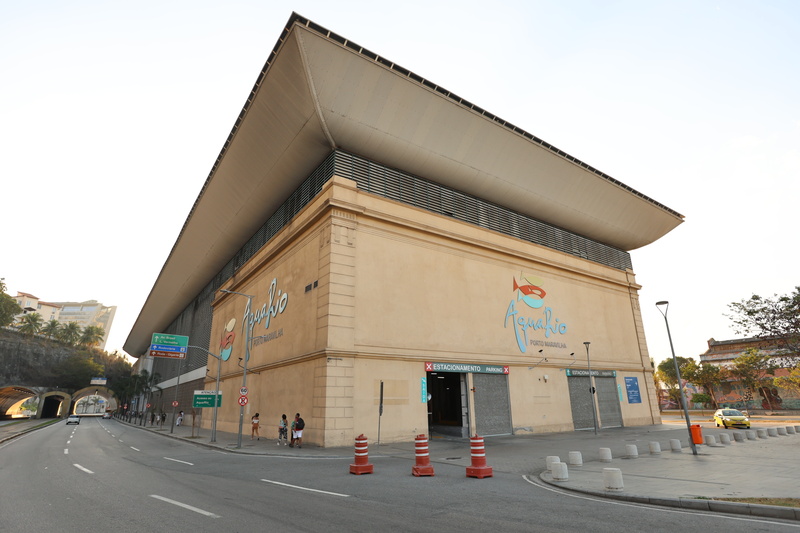 9 anos do AquaRio tem entrada gratuita para aniversariantes de novembro