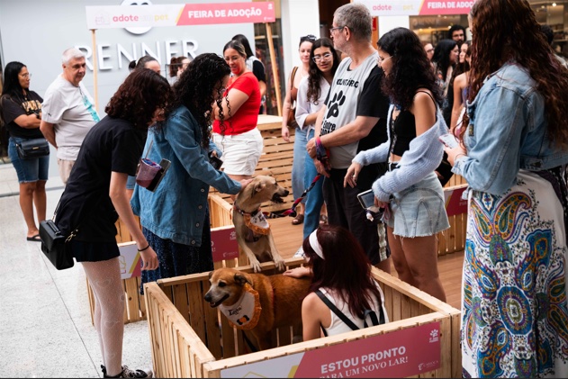 Carioca Shopping recebe campanha de adoção Pet