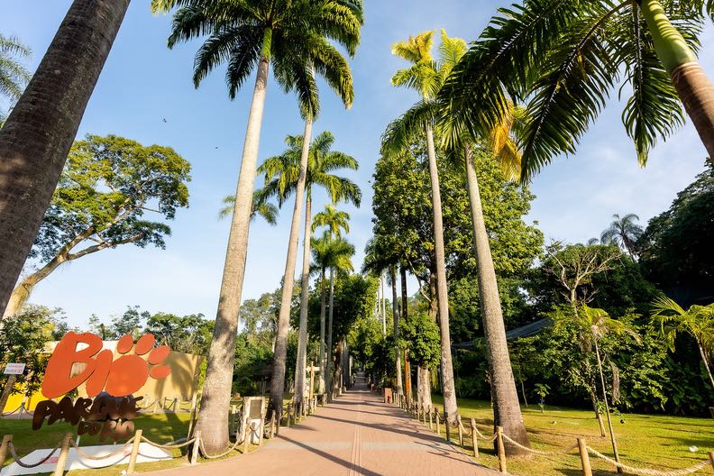 BioParque do Rio tem programação de Carnaval